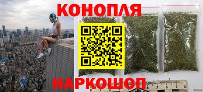 дмт Новозыбков