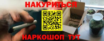дмт Новозыбков